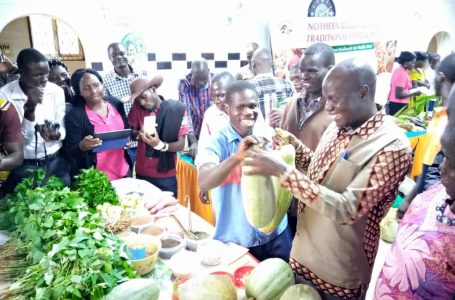 Ray Of Hope In Gulu As Hivos Addresses Dietary Challenges Among Households